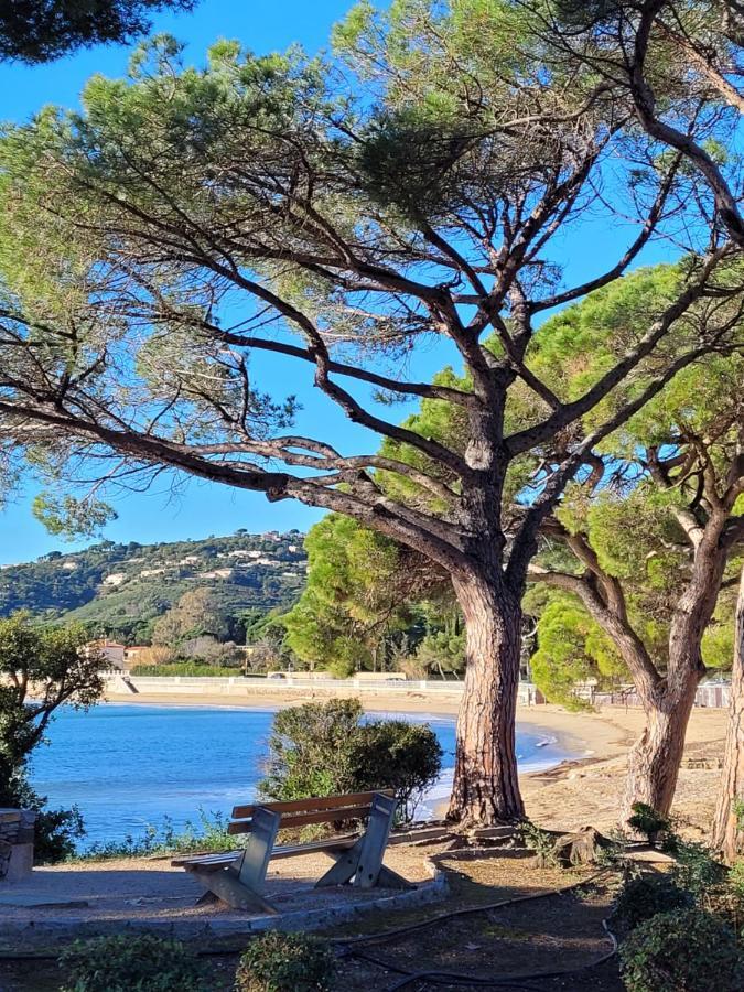 Villa Palm' Issambres 6-7 Personnes, Clim, Avec Piscine, Jardin Et Parking Prives La Garonnette-Plage Eksteriør billede