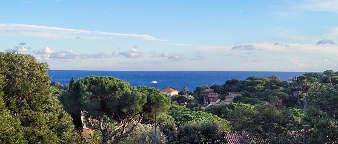 Villa Palm' Issambres 6-7 Personnes, Clim, Avec Piscine, Jardin Et Parking Prives La Garonnette-Plage Eksteriør billede