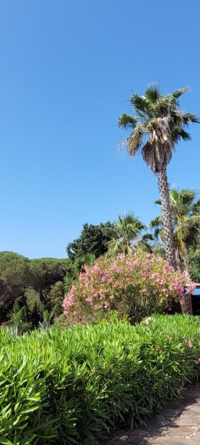Villa Palm' Issambres 6-7 Personnes, Clim, Avec Piscine, Jardin Et Parking Prives La Garonnette-Plage Eksteriør billede
